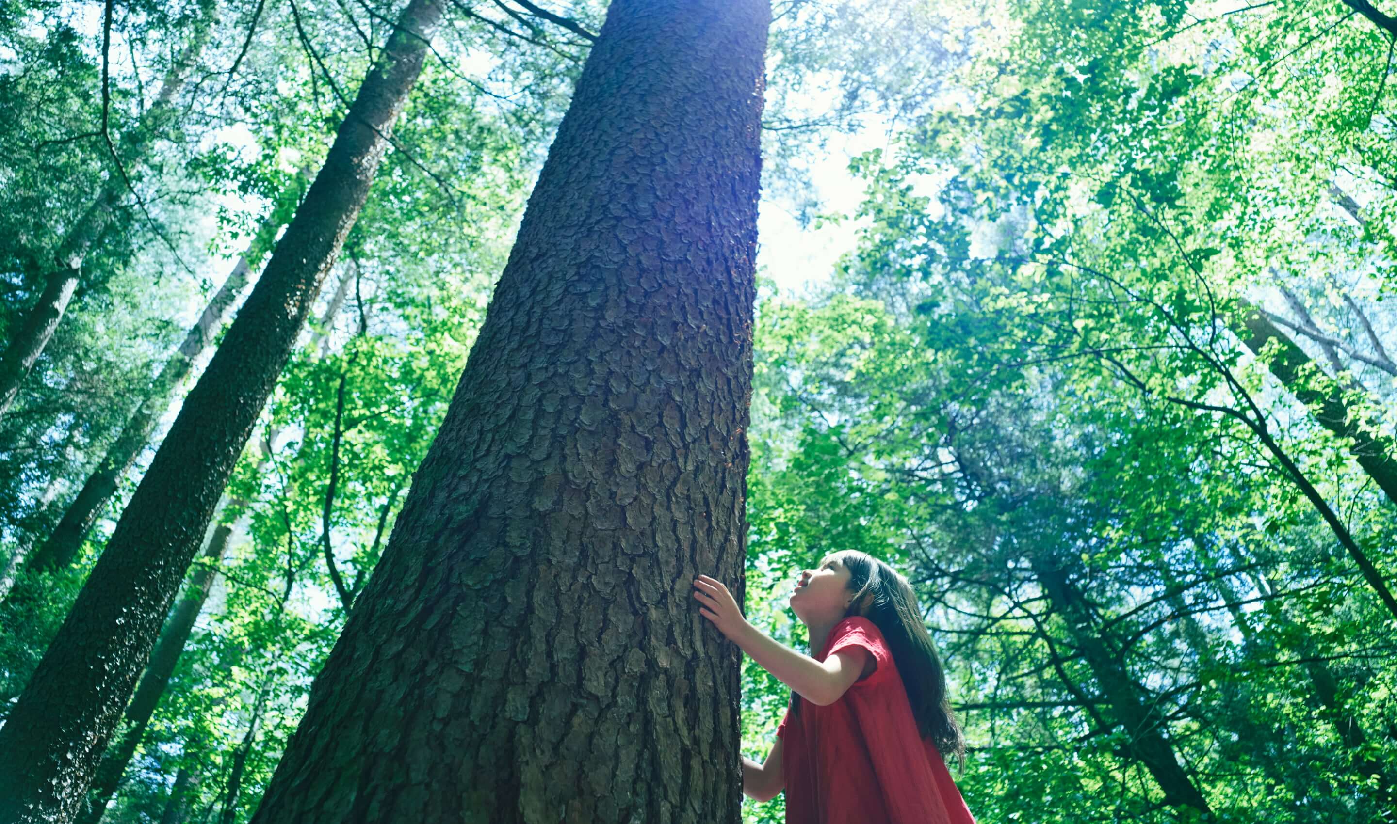 木とともに。 &EARTH with WOOD