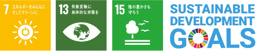 SDGs